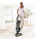 Shark Navigator Upright Vacuum ZU62