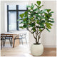 CGH Artificial Fiddle Leaf Fig Tree 2.4M Lifelike Realistic Appearance High-Quality Artisan Planter Indoor Use – view 2