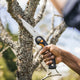 Fiskars Plus Folding Pruning Saw 150mm - Ergonomic Handle - Fast Cutting