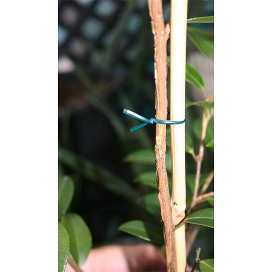 Jack Twist Ties - 30m Light Duty PVC - Green - Flexible - Gentle on Plants – view 2 - Auzzistore