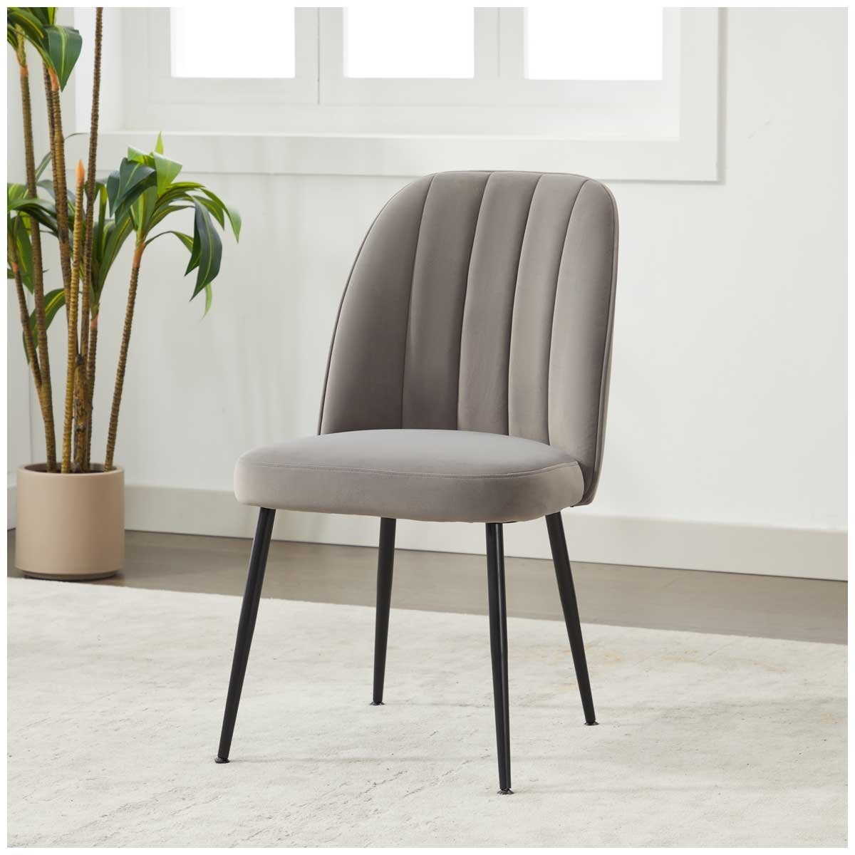 Fresh Industries Dining Chair 2 Pack