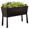 Keter Easy Grow Planter Brown Raised Garden Bed Water Gauge Drainage