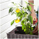 Keter Easy Grow Planter Brown Raised Garden Bed Water Gauge Drainage — image 6