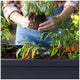Keter Alfresco Garden Bed Black