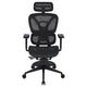 ONEX AIRNEST Mesh Office Chair