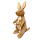 Hugfun Aussie Native Plush Kangaroo with Koala & Quokka - Soft & Cuddly Animals for All Ages – view 2