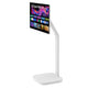 LG 31.5 Inch 4K Monitor Swing With Touchscreen Stand 32U889SA-W.AAU