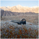 Shokz OpenRun Pro Bone Conduction Headphones Open-Ear Wireless S810 — image 5