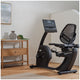 NordicTrack GX LE Recumbent Bike