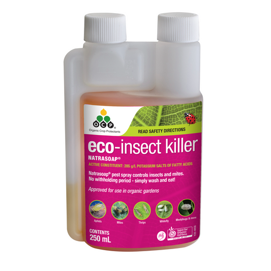 Ocp Eco Insect Killer Concentrate 250ml - Soap-Based - Organic Approved - Auzzistore