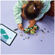 LEGO Wicked Elphaba’s Retreat 75687