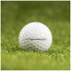 Kirkland Signature V3.0 Golf Balls 24 Pack