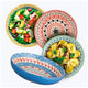 Signature Housewares Dinner Bowls 4 Piece Set