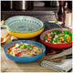 Signature Housewares Dinner Bowls 4 Piece Set