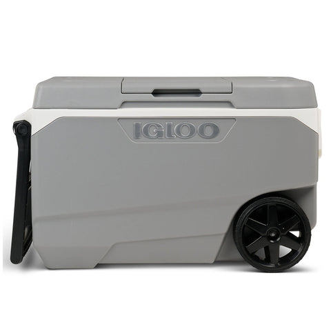 Igloo MaxCold Latitude 85L Roller Cooler - 90 Quart, All-Terrain Wheels, Insulated - Auzzistore