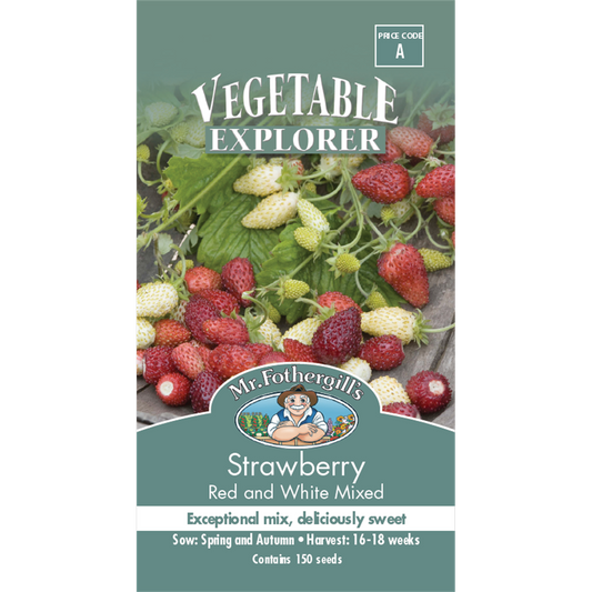 Mr Fothergill Strawberry Seeds - 75mm - Seeds - High Yielding - Auzzistore
