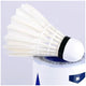 Victor Lark Ace Shuttlecock 12 x 2 Pack