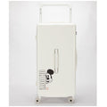 Disney Mickey Trunk Style Trolley Case 79cm TSA Lock White Polycarbonate
