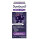 Sambucol Black Elderberry Cold & Flu Syrup 120ml - Natural Relief for Cold & Flu Symptoms - Auzzistore