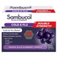 Sambucol Cold & Flu Double Strength 12 Capsules - Immune Support – view 2