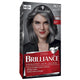 Schwarzkopf Brilliance 95 Smoky Grey - Permanent Hair Colour