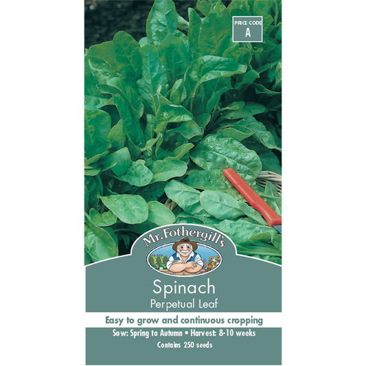 Mr Fothergill Spinach Seeds 75mm x 5mm Nutritious Greens Fast Growth - Auzzistore