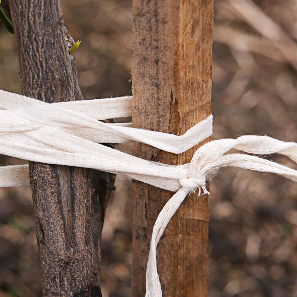 Jack Enviro Tie 40m Cotton Plant Tie - Strong - Biodegradable - Beige