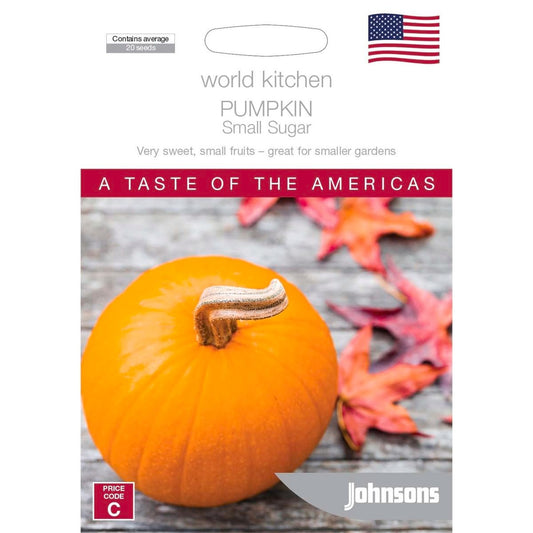 Johnsons Pumpkin Sugar Seeds - Small 1.5-2kg - High Sugar Content - Auzzistore