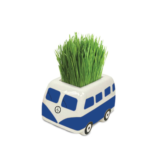 Mr Fothergill's Blue Good Vibes Minivan Grow Kit - 1 Kit - 80mm x 50mm x 45mm - Fast-Sprouting Plant – view 2 - Auzzistore