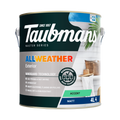 Taubmans 4L Accent Matt All Weather Exterior Paint - 4L - Water Based Acrylic
