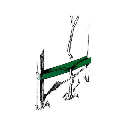 Jack Polywoven Shrub Tie - 60m Roll - Green - Supports Shrubs & Trees – view 2 - Auzzistore