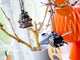 LEGO 40493 Spider & Haunted House Pack – view 3