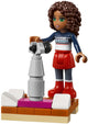 LEGO 41102 Friends Advent Calendar- Auzzi Store