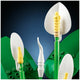 LEGO Botanicals Peace Lily 11504
