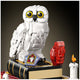 LEGO Harry Potter Philosopher’s Stone - Collectors’ Edition 76466