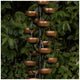 Bond Bloomington Cascading Cup Fountain