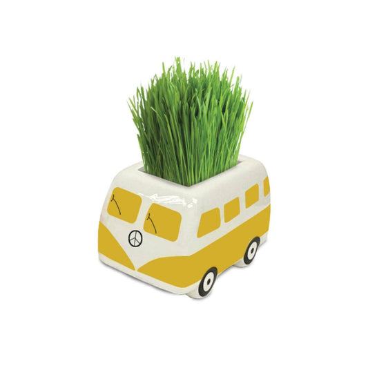 Mr Fothergill S Minivan Grow Kit - Yellow - 1 Pack - 80mm x 50mm x 45mm - Fast-Sprouting Plant for Kids – view 2 - Auzzistore
