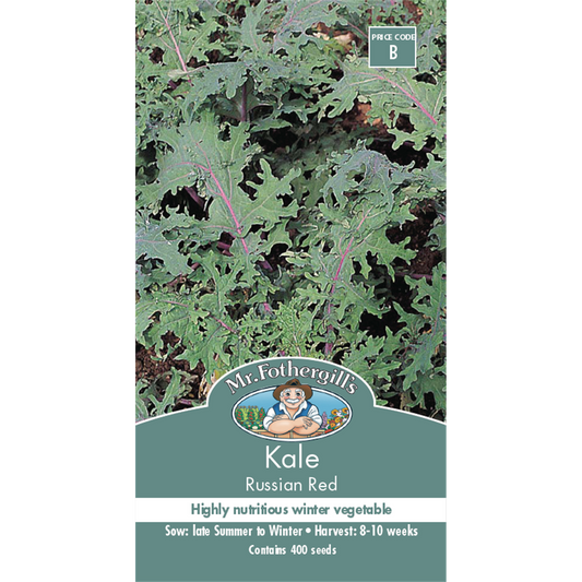 Mr Fothergill S Kale Russian Red Seeds - 75mm - Green - Nutritious - Auzzistore