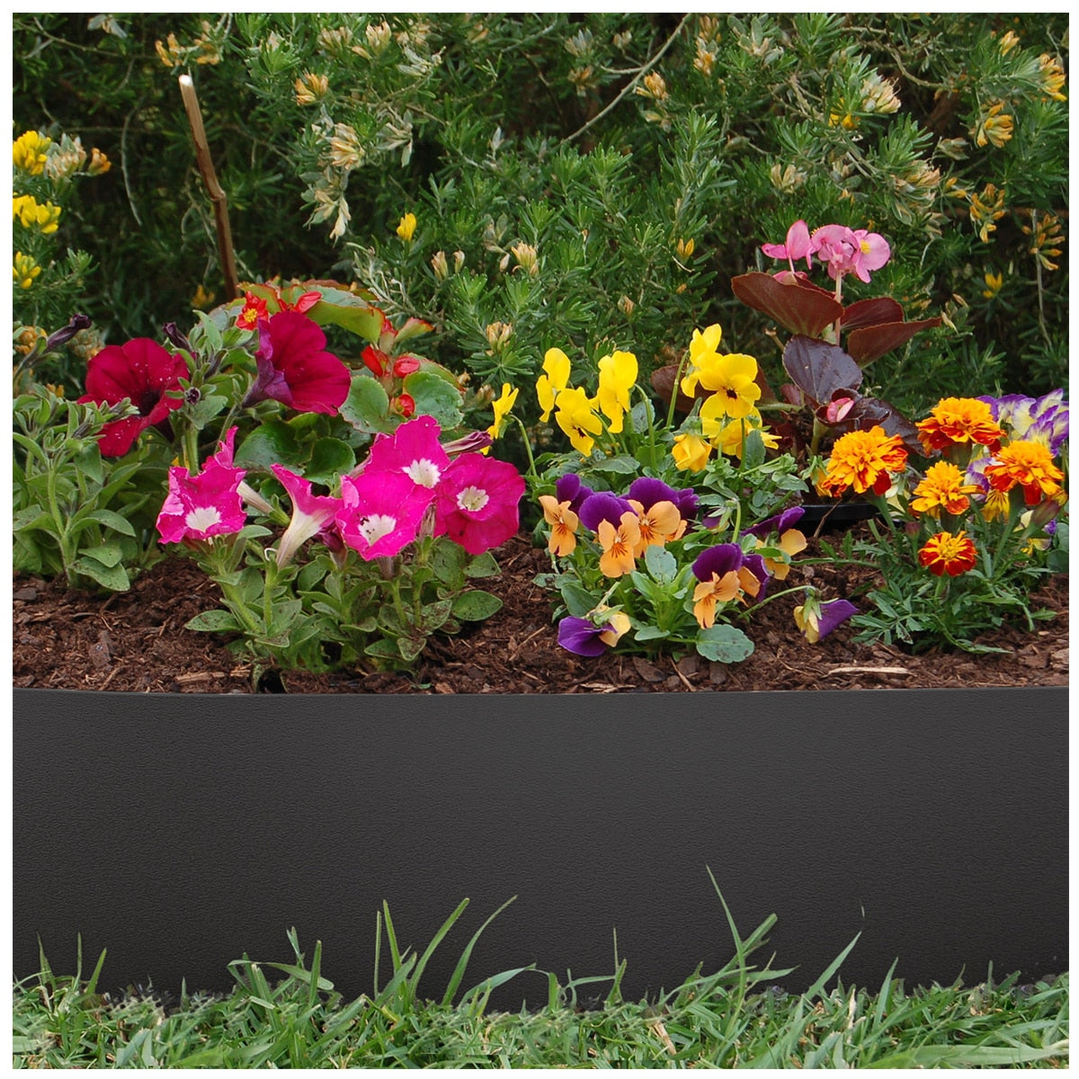 Greenlife Plastic Garden Edging 2 x (1000 x 15cm) With 20 Pegs Black