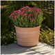 Trendspot Forum Planters 3 Pack