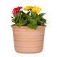 Trendspot Forum Planters 3 Pack