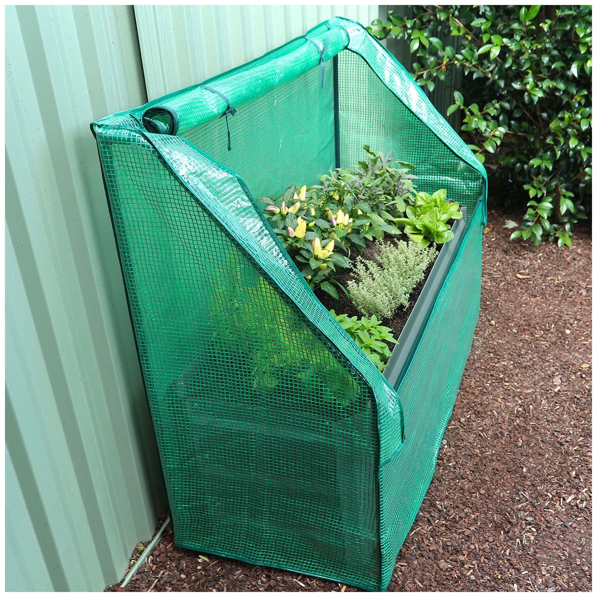 Greenlife Slimline Garden Bed And Greenhouse Cover 120 x 45 x 45cm Eucalyptus