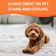 Krud Kutter Instant Carpet Stain Remover Plus Deodoriser 3.78L - Effective on Pet Stains - Safe for All Carpet Types