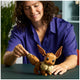 LEGO Pokémon Eevee 72151