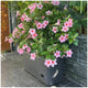 Greenlife Mobile Vege Patch with Trellis 2 Pack Self Watering 40 Litre — image 2