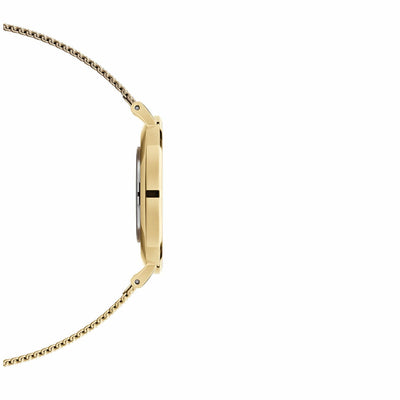Daniel Wellington Petite Evergold 28mm Women's Watch Gold Mesh Strap DW00100350