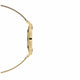 Daniel Wellington Petite Evergold 28mm Women's Watch Gold Mesh Strap DW00100350 — image 2