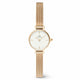 Daniel Wellington Petite Mini Evergold Women's Watch Gold Mesh Strap DW00100745