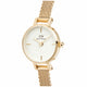 Daniel Wellington Petite Mini Evergold Women's Watch Gold Mesh Strap DW00100745 — image 2