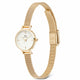 Daniel Wellington Petite Mini Evergold Women's Watch Gold Mesh Strap DW00100745 — image 4